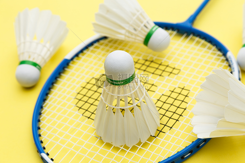 新秀应对职 新秀应对职