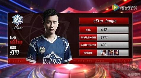 体系放大器